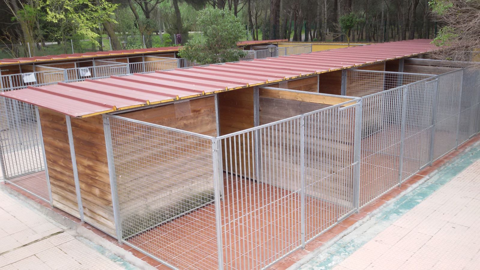 Residencia Canina Malilupus