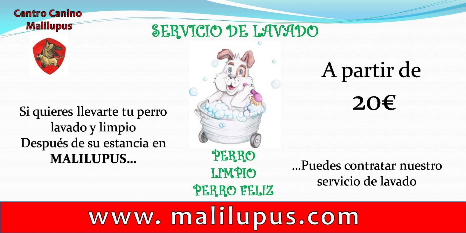 Servicio de Peluquería canina en nuestro Hotel Canino