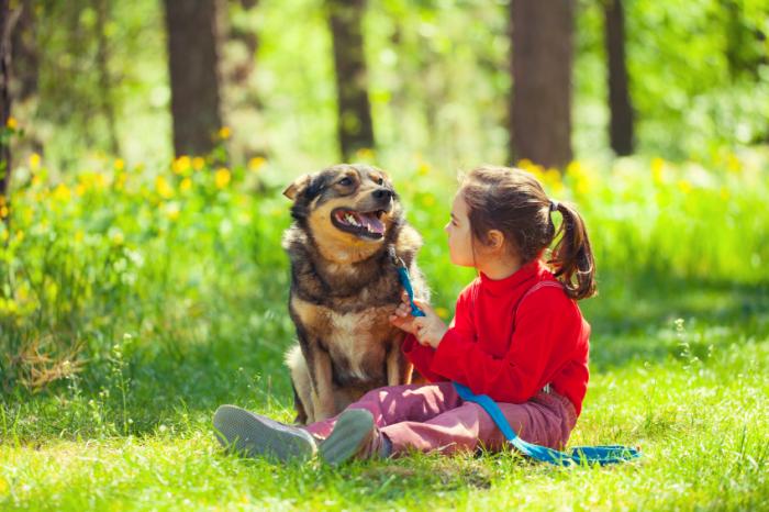 CLASES PARA NIÑOS CON SUS PERROS