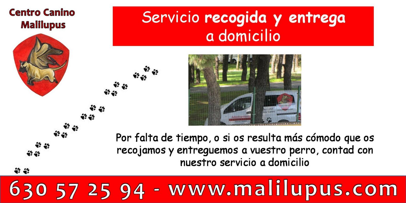 Servicio de recogida y entrega de perros a domicilio
